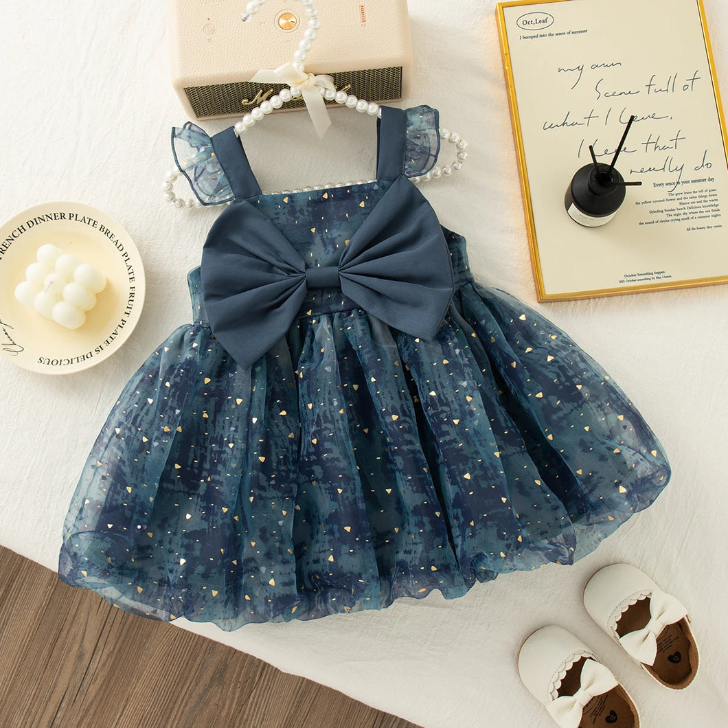 Princess Tulle Dress