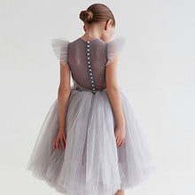 Load image into Gallery viewer, Princess Tulle Dress

