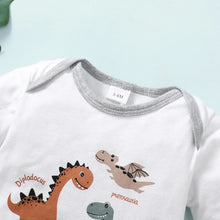 Load image into Gallery viewer, Dinosaur Set
